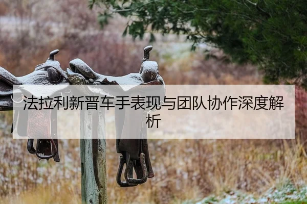 法拉利新晋车手表现与团队协作深度解析
